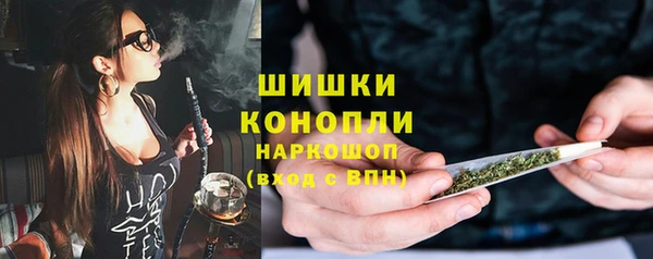 мдпв Киреевск