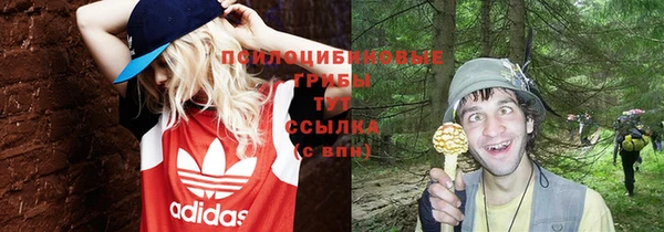 mdpv Киренск
